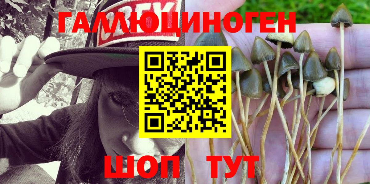 Галлюциногенные грибы MAGIC MUSHROOMS  наркошоп  Наро-Фоминск  Вход с VPN 