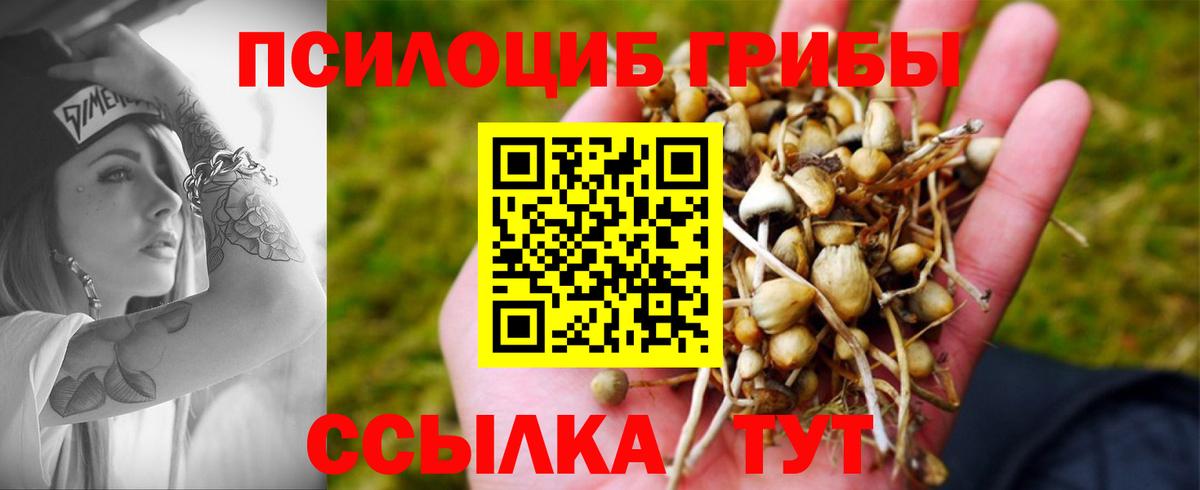 Галлюциногенные грибы мухоморы Наро-Фоминск